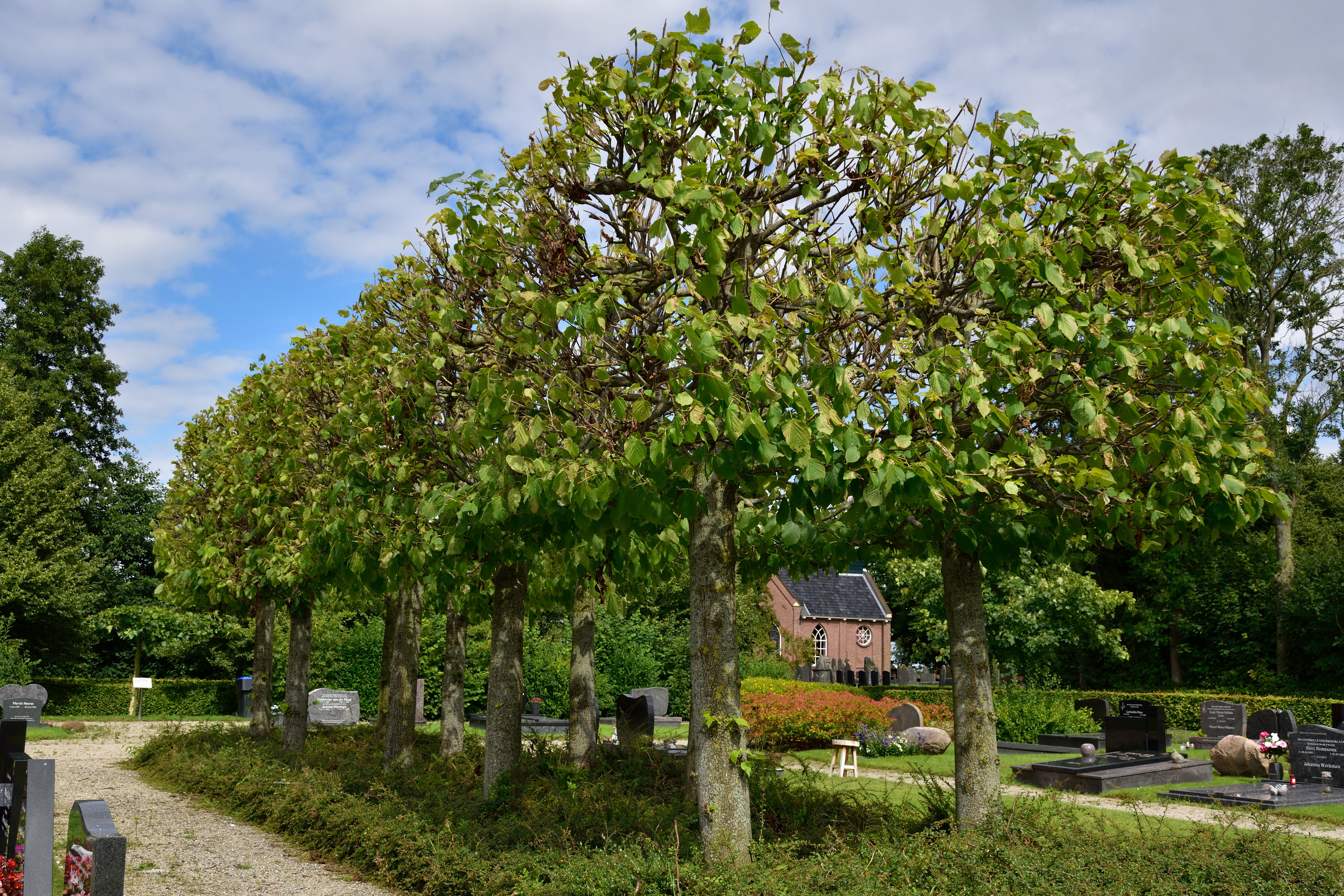 OFF_6491_MP